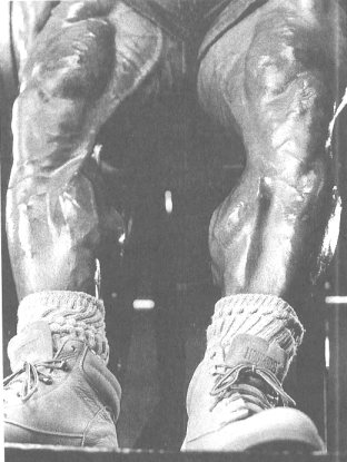 Верхние и нижние мышцы ног должны уравновешивать друг друга. В данном случае мощные четырехглавые мышцы и приводящие мышцы бедра не производили бы столь сильное впечатление, если бы икроножные мышцы не были такими огромными и рельефными (Насер эль-Сонбати).