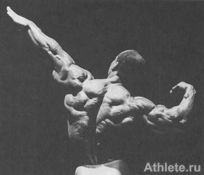 Массивность и отличная форма трицепса вытянутой руки гармонируют с выдающейся мускулистостью спины Альберта Бекклза.