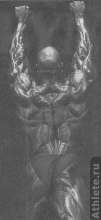 Шоун Рэй демонстрирует, что, помимо официальных поз, есть другие впечатляющие способы, позволяющие показать мускулатуру спины.
